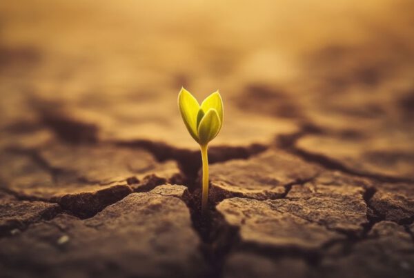 Resilienz stärken und im Alltag gebrauch machen
