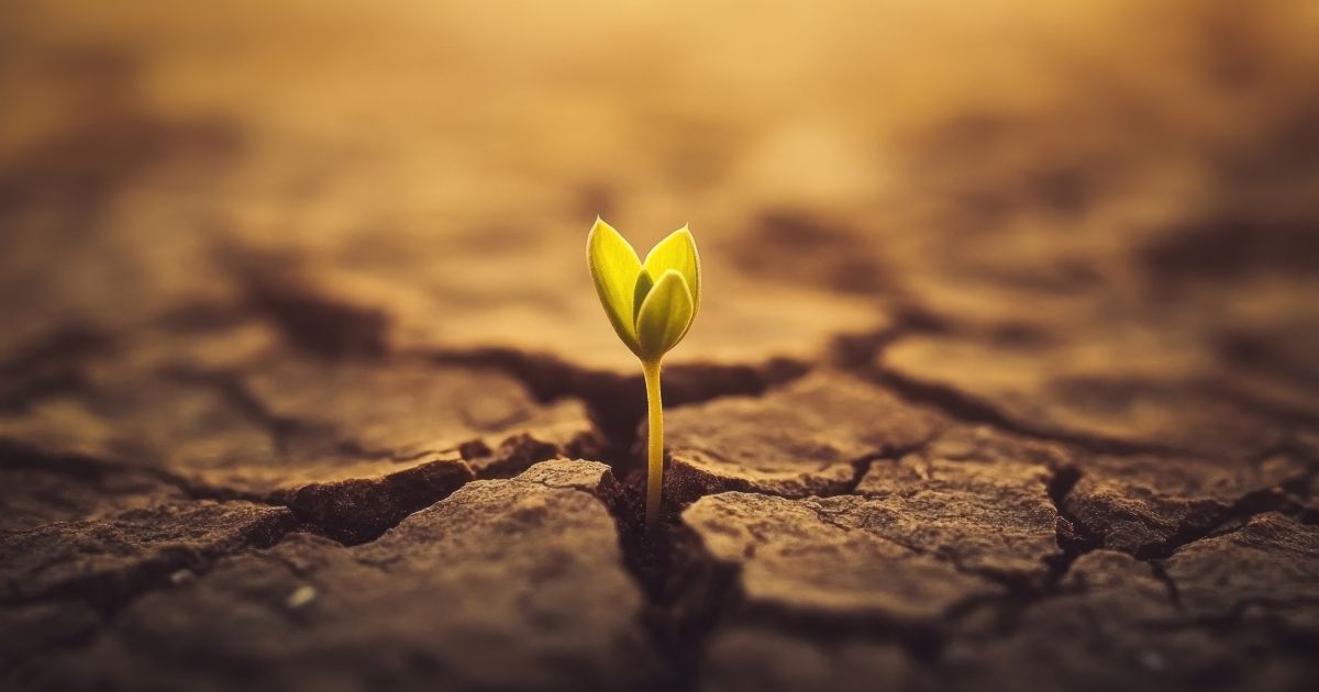 Resilienz stärken: Bedeutung und Wichtigkeit im Alltag